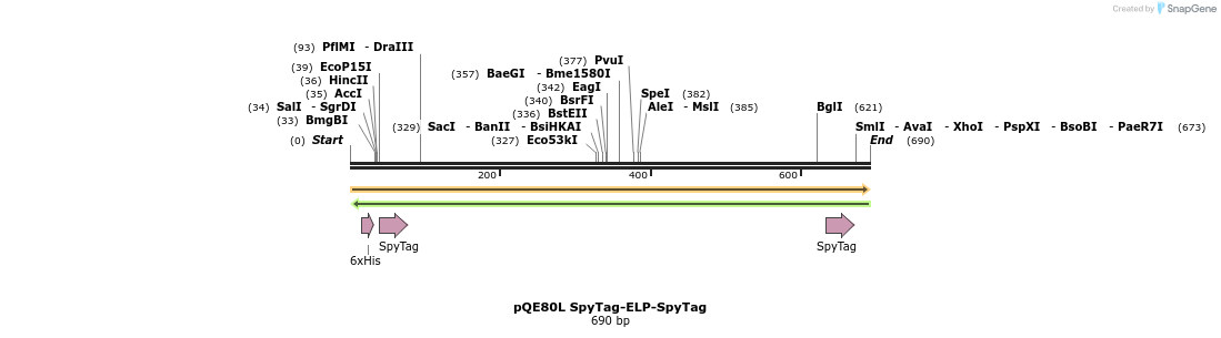 212191_map