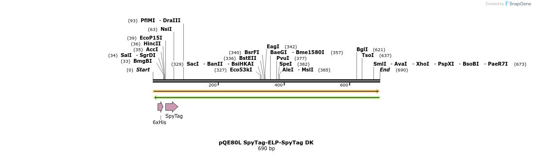 212193_map