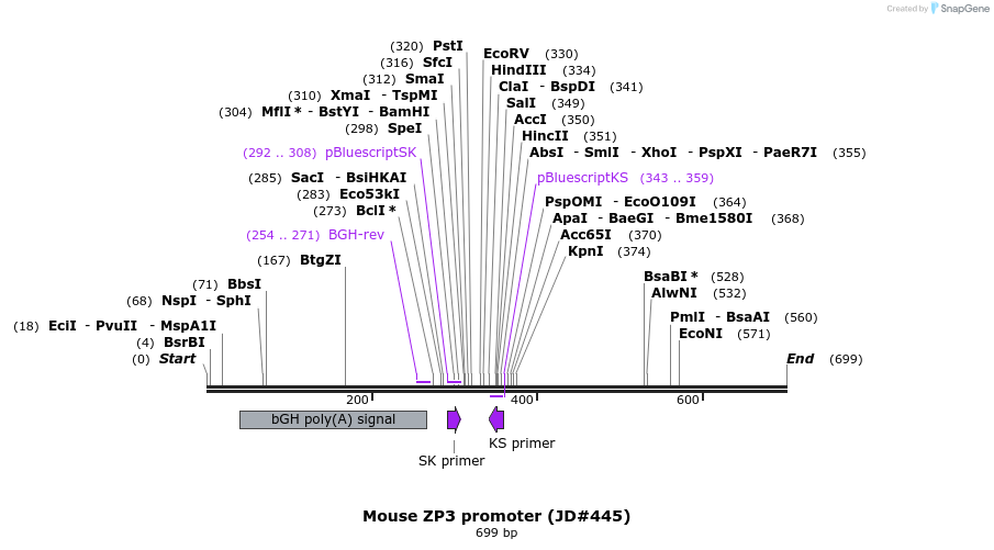 21220_map