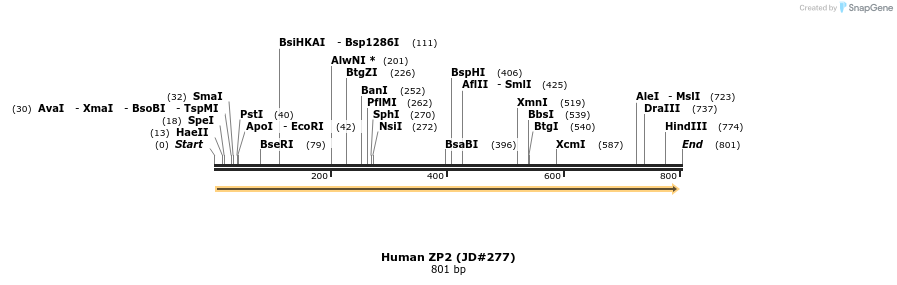 21221_map