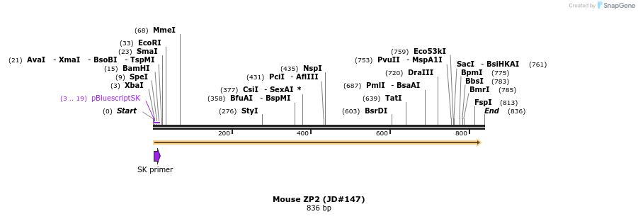 21223_map