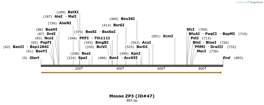 21224_map