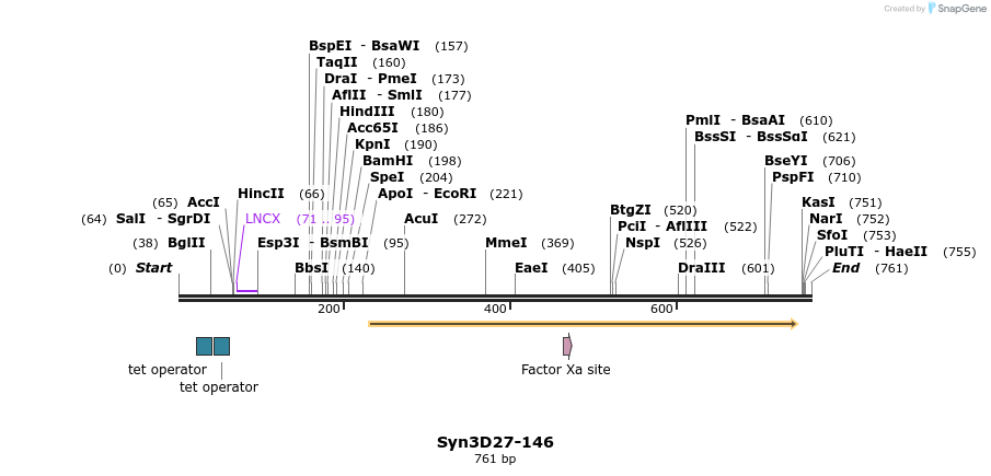21225_map