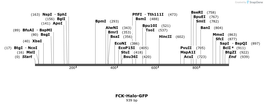 21228_map