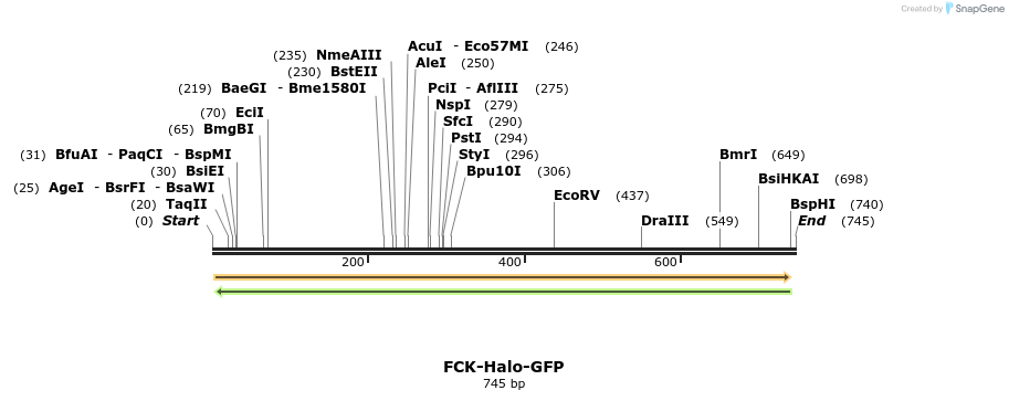 21229_map