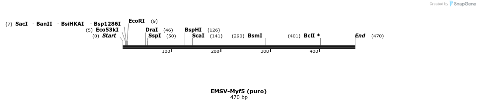 21238_map