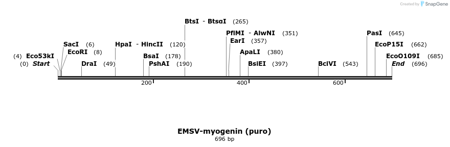 21239_map