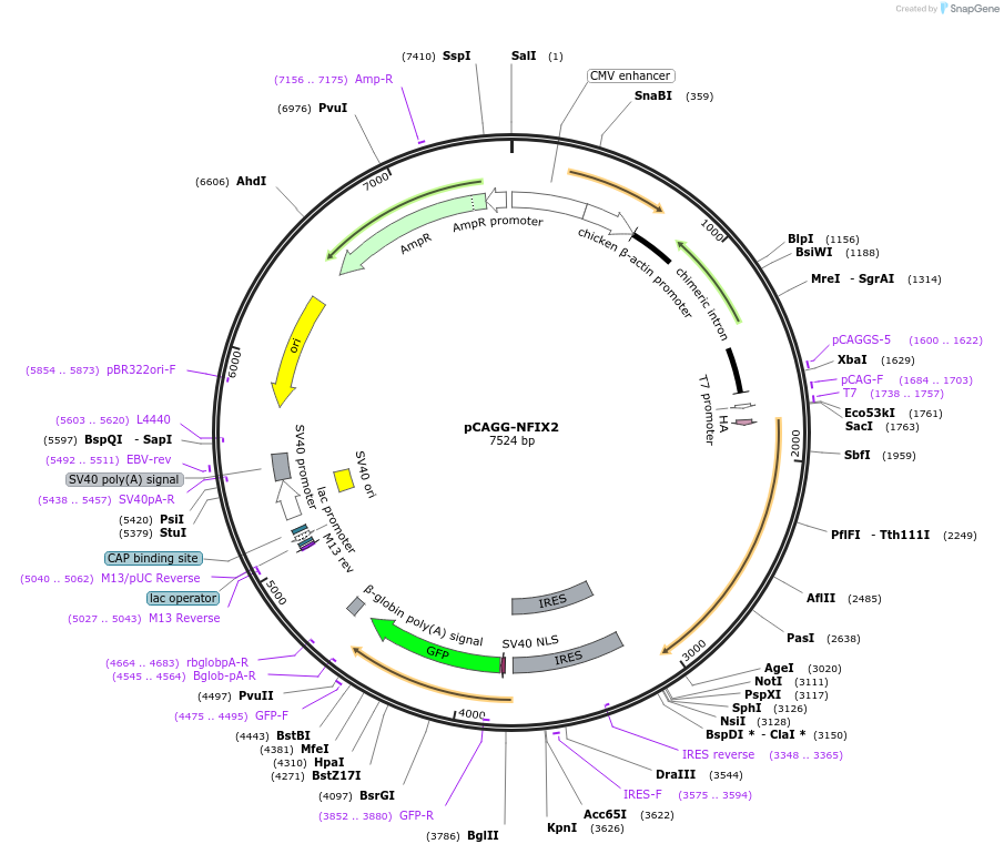 212413_map