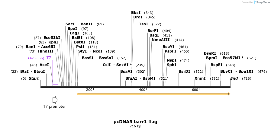 21242_map
