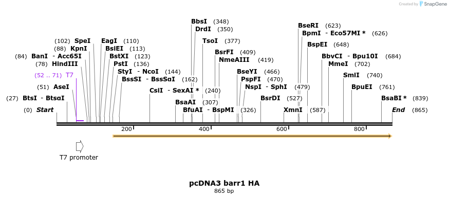 21244_map
