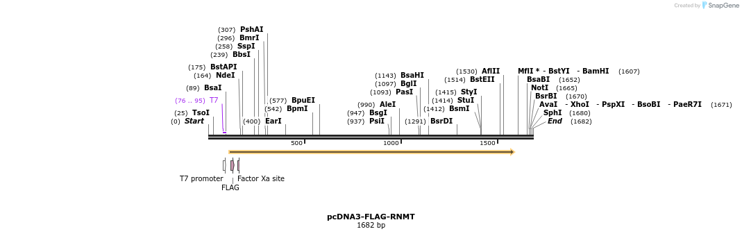 212467_map