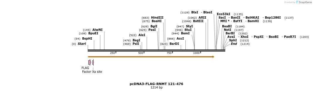 212523_map