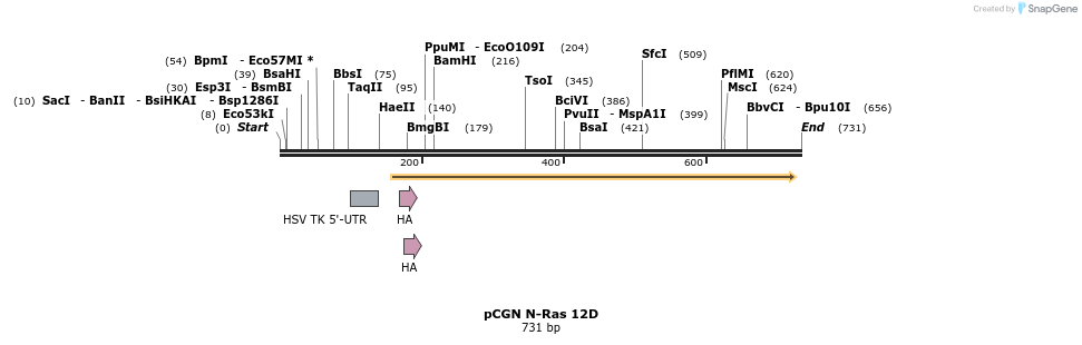21257_map