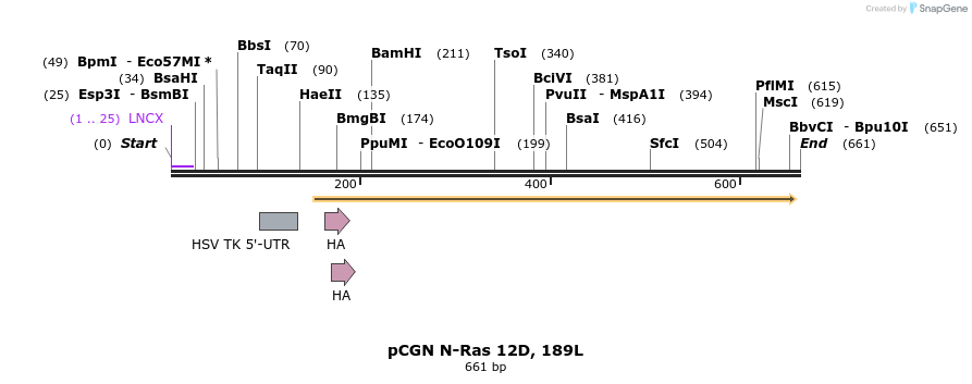 21258_map