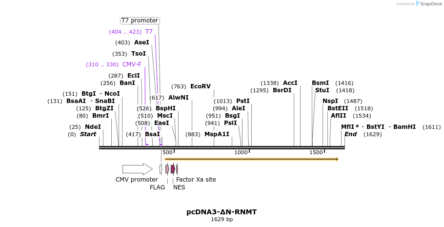 212591_map