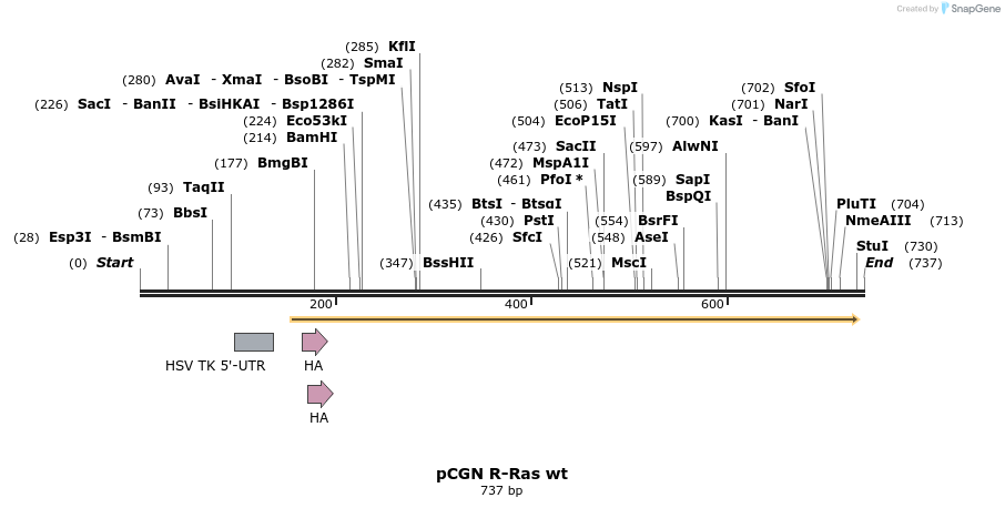21260_map