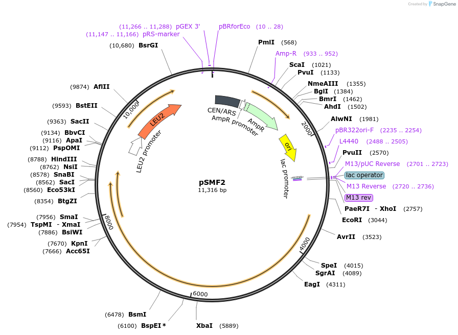 212613_map