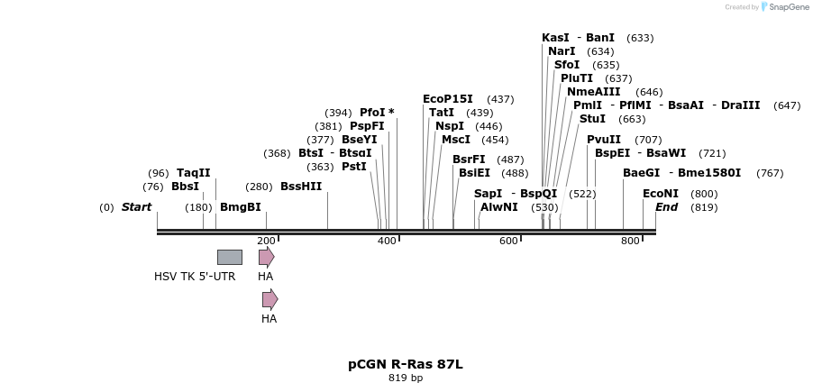 21262_map
