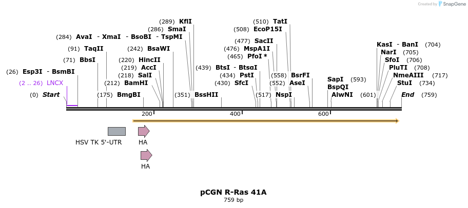 21263_map
