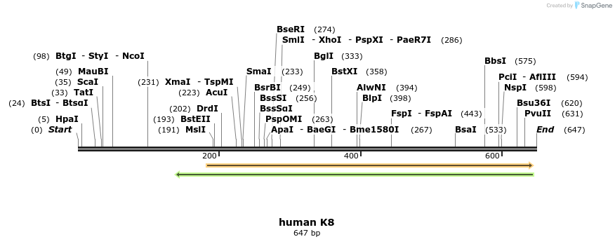 21266_map