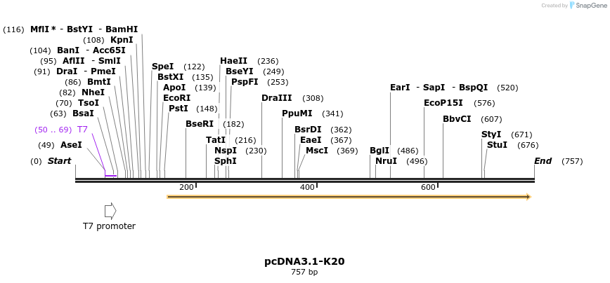 21267_map