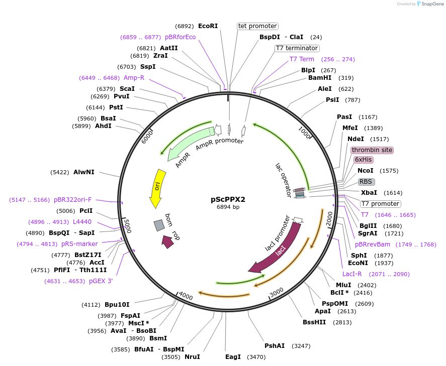 212702_map
