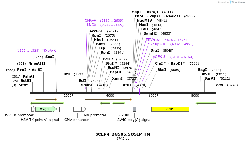 212713_map