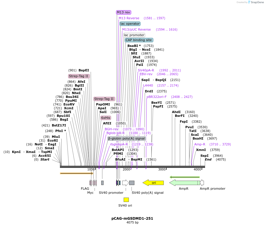 212729_map