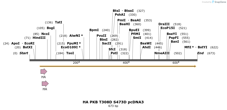 21274_map