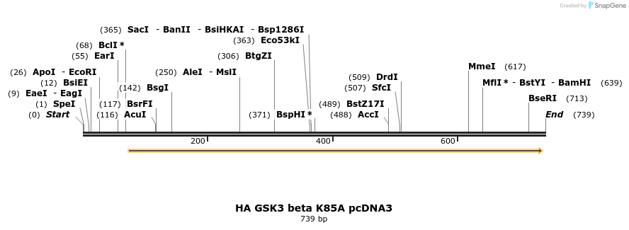 21276_map