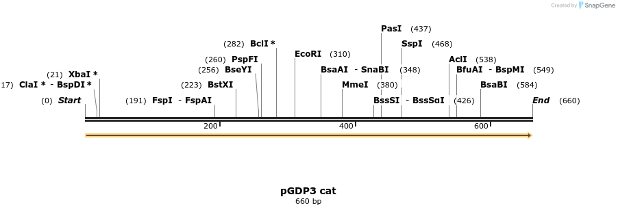 212770_map