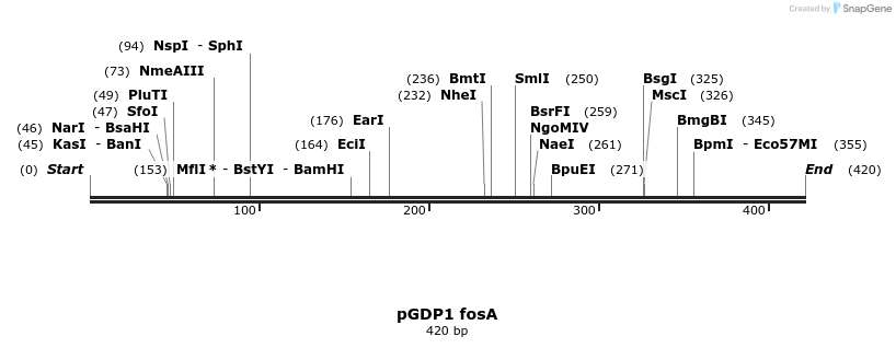 212771_map