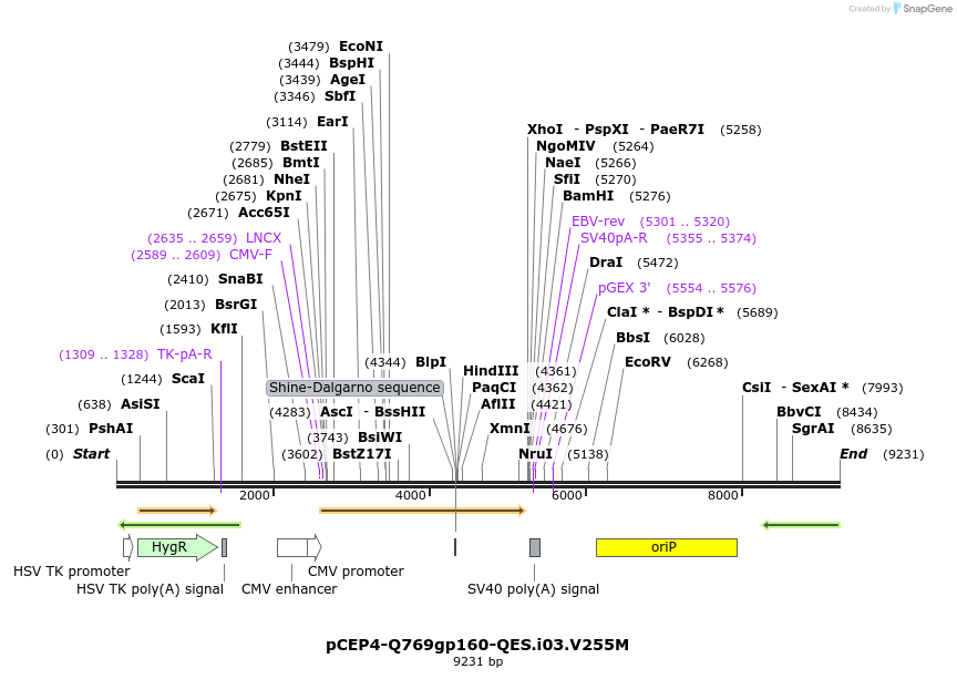 212775_map