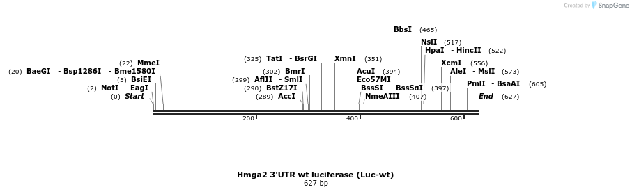 21279_map