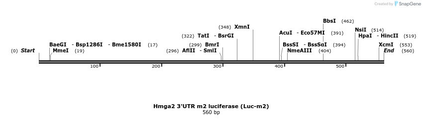 21280_map