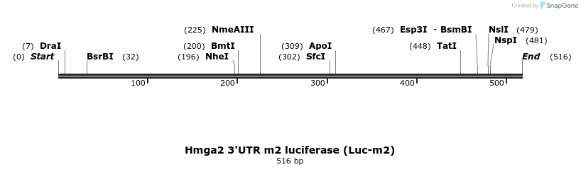 21281_map