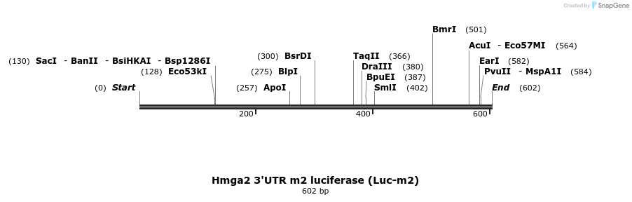 21282_map