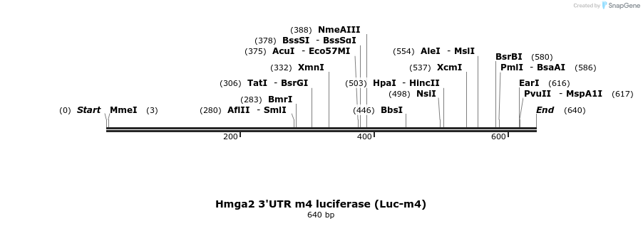 21283_map