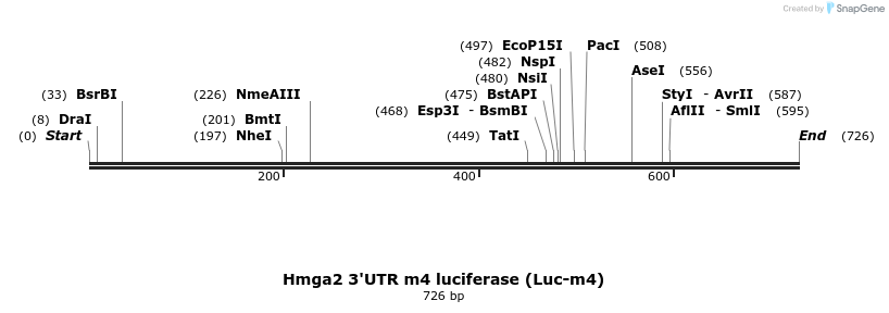 21284_map