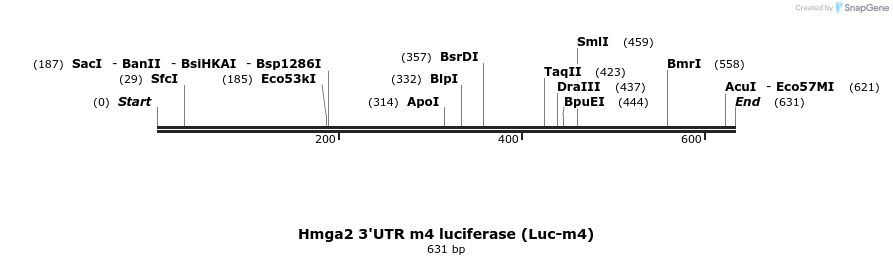 21285_map