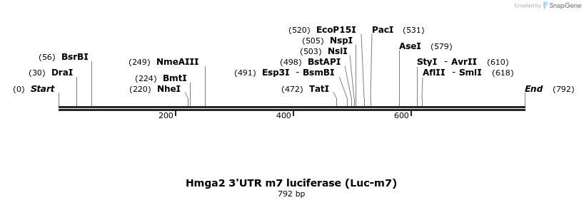 21286_map