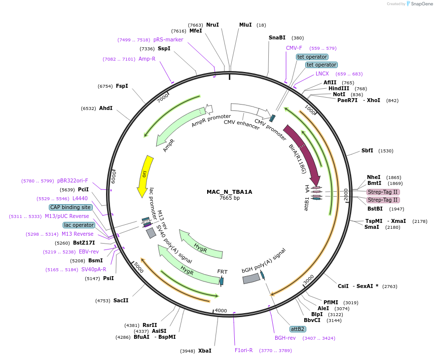212881_map