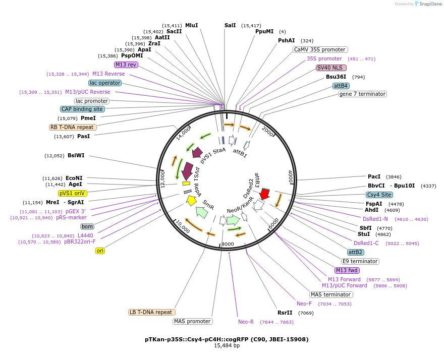 212901_map