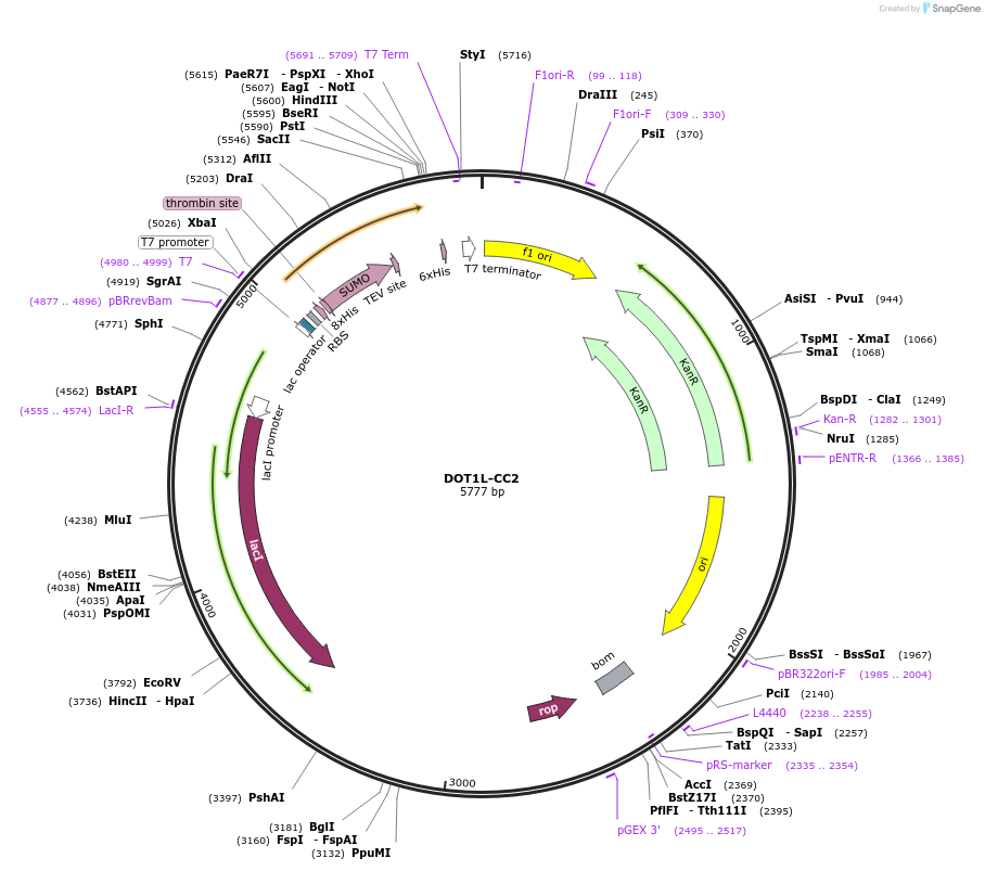 212905_map