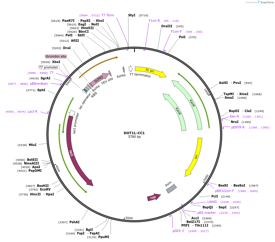 212906_map
