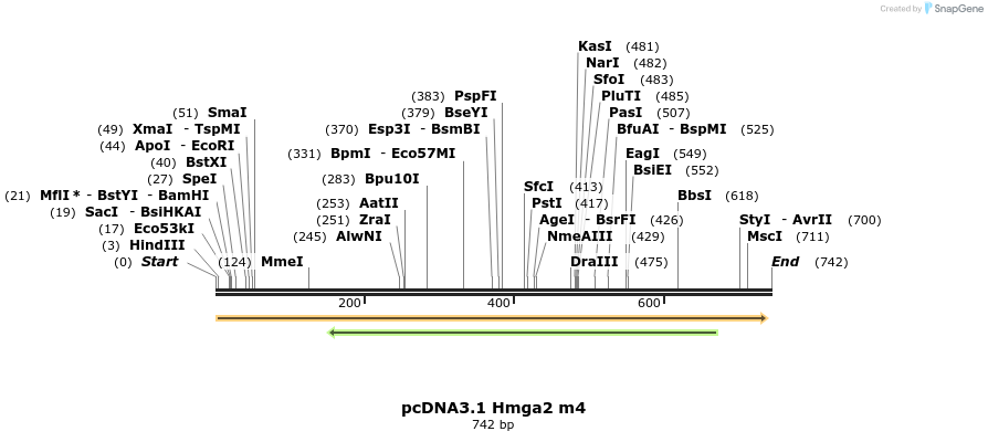 21291_map