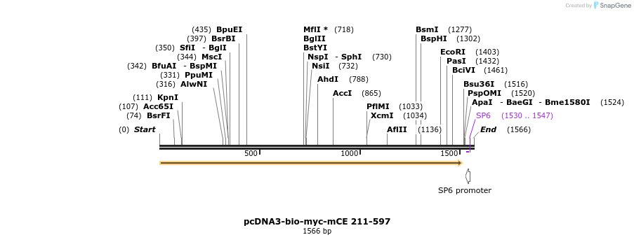 212927_map