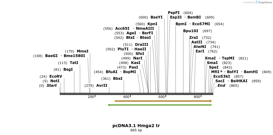 21293_map