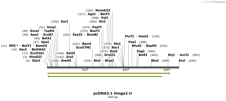 21294_map