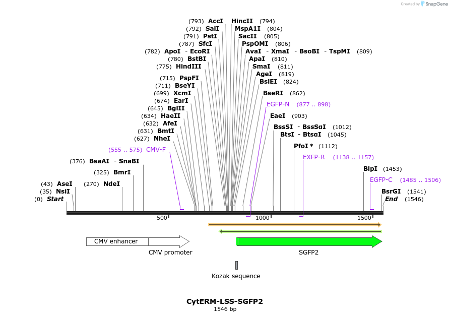 213016_map